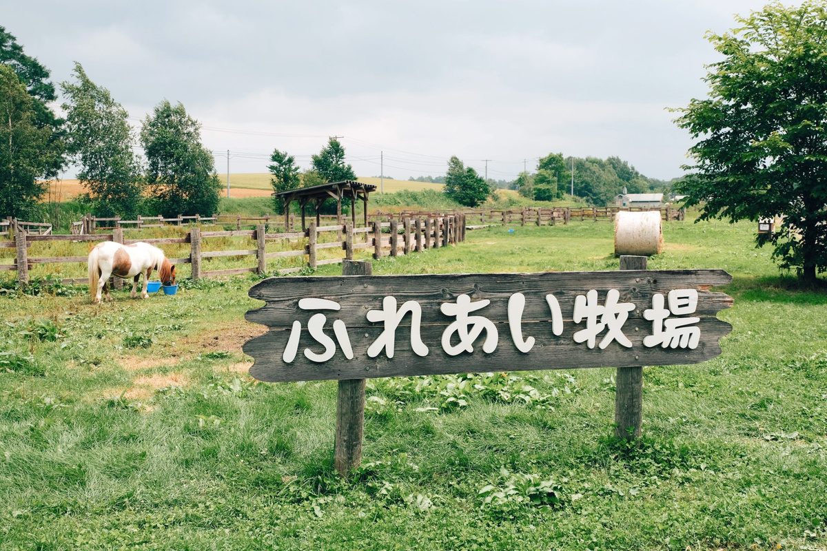清新牧场