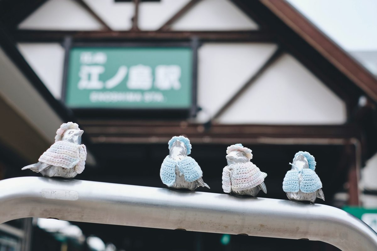 江之岛穿毛衣的小鸟